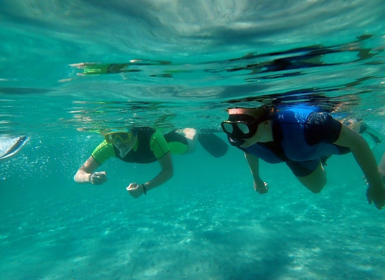 Picture 1 for Activity From Santa Pola: Snorkel Trip in Tabarca Island