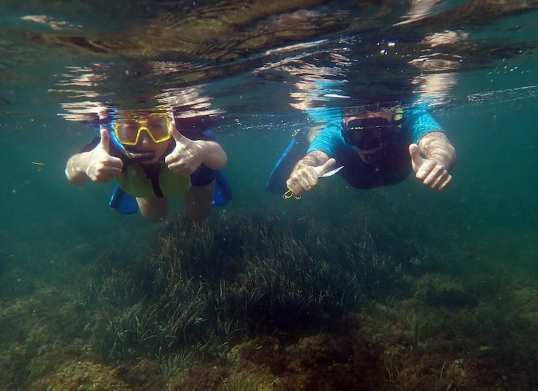 Picture 5 for Activity From Santa Pola: Snorkel Trip in Tabarca Island