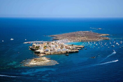 From Santa Pola: Snorkel Trip in Tabarca Island