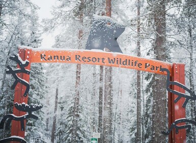 Ranua Wildlife Park -päivä: Ranua Ranua: Vierailu arktisten eläinten luona