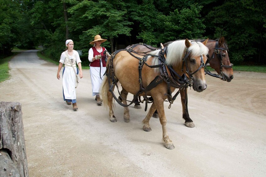 Picture 2 for Activity Mount Vernon: George Washington's Estate with Audio Guide