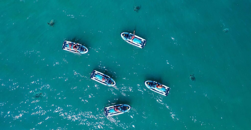 Picture 2 for Activity Airlie Beach: Airlie Adventure Jet Ski Tour