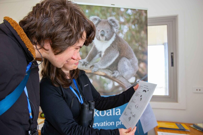 Picture 4 for Activity Great Ocean Road: Guided Wildlife Walk that Supports Nature