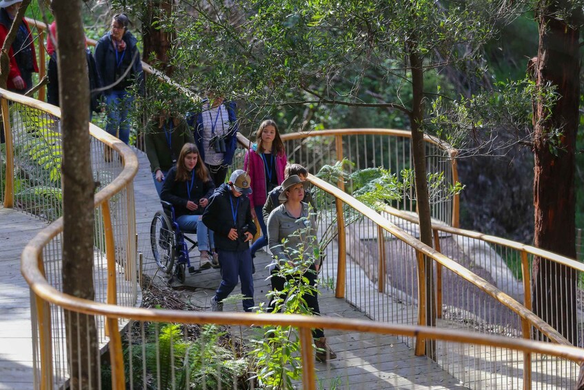 Picture 6 for Activity Great Ocean Road: Guided Wildlife Walk that Supports Nature