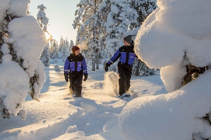 Ylläs: Waldwanderung mit Schneeschuhen