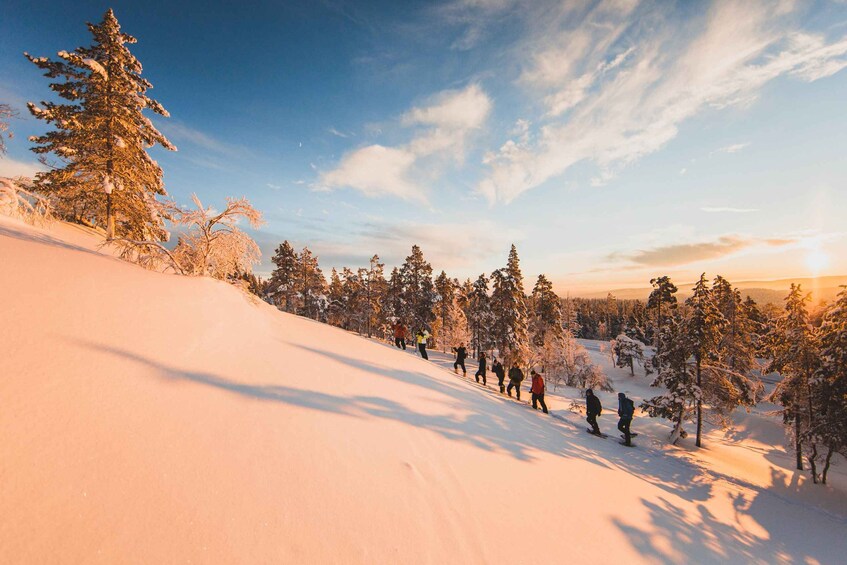 Picture 3 for Activity Ylläs: Forest Hike with Snowshoes and Campfire Snacks