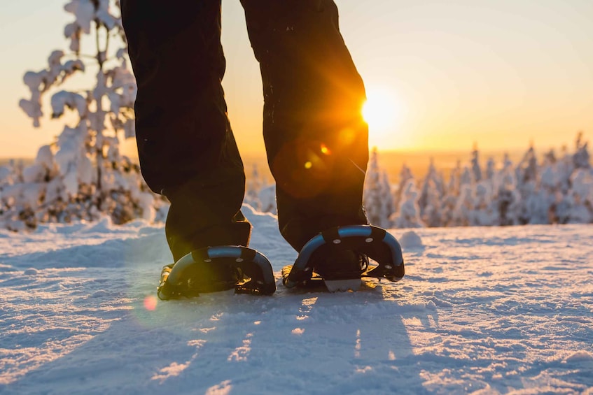 Picture 5 for Activity Ylläs: Forest Hike with Snowshoes and Campfire Snacks