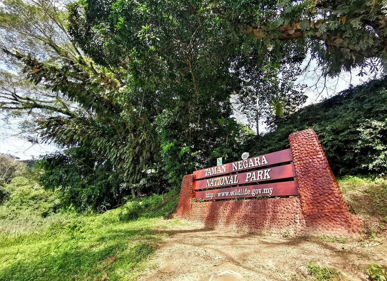 Picture 1 for Activity From Kuala Lumpur: Full Day Tour to Taman Negara