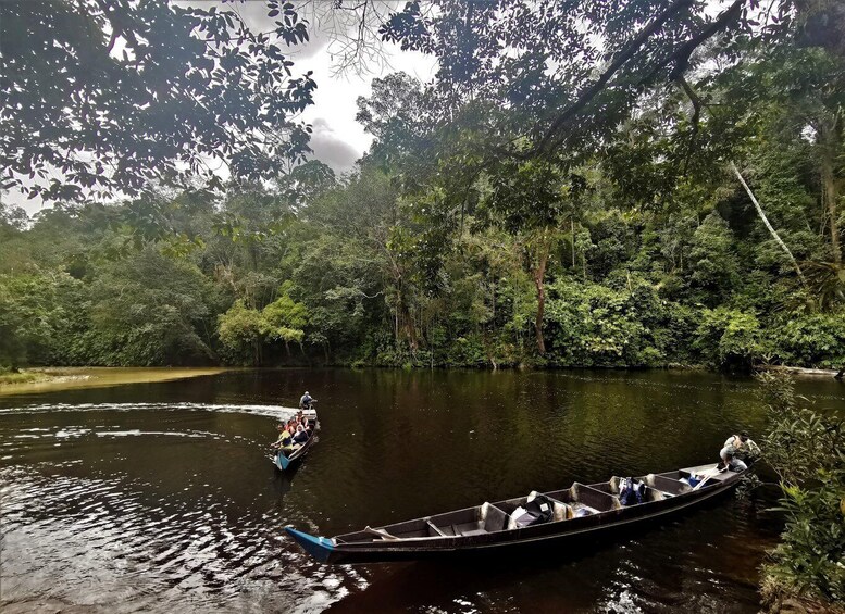 Picture 7 for Activity From Kuala Lumpur: Full Day Tour to Taman Negara