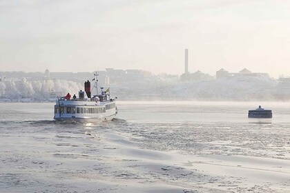 Stockholm: Vinterbåttur med guide