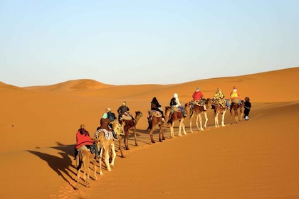 De Fès: excursion de 2 jours dans le désert de Merzouga