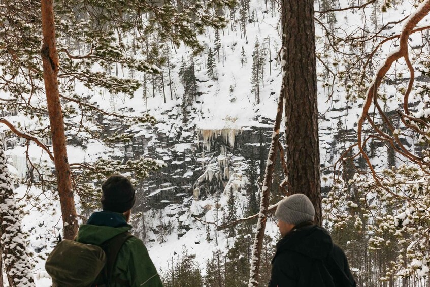 Picture 7 for Activity From Rovaniemi: Korouoma Canyon and Frozen Waterfalls Tour