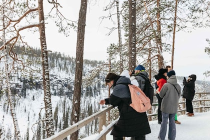 Fra Rovaniemi: Tur til Korouoma-kløften og frosne fossefall