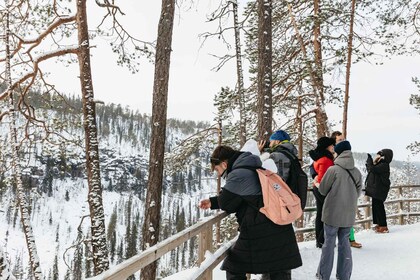 Fra Rovaniemi: Tur til Korouoma-kløften og de frosne vandfald