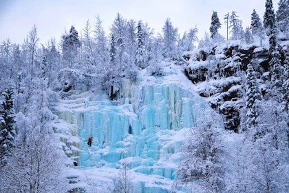 Rovaniemi: Korouoman kanjonin ja jäätyneiden vesiputousten retki