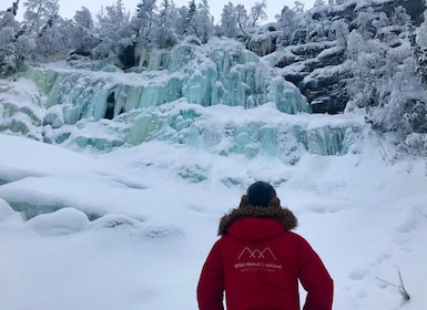Rovaniemi: Korouoma Canyon & Frozen Waterfalls Tour