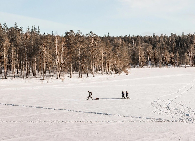 Picture 6 for Activity Rovaniemi: Winter Wilderness Snowshoeing Trip