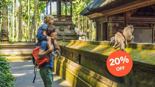 乌布全包之旅，可选午餐