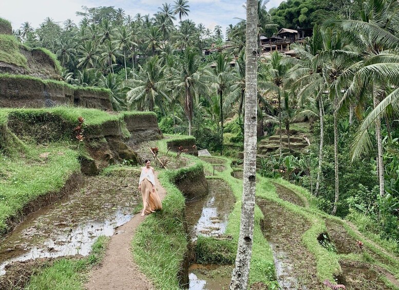 Picture 2 for Activity Ubud: All-Inclusive Tour with Optional Lunch