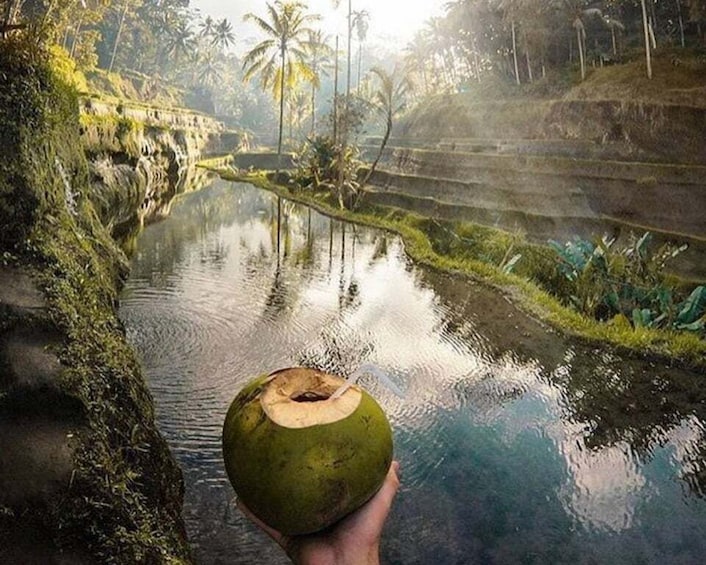 Picture 7 for Activity Ubud: All-Inclusive Tour with Optional Lunch