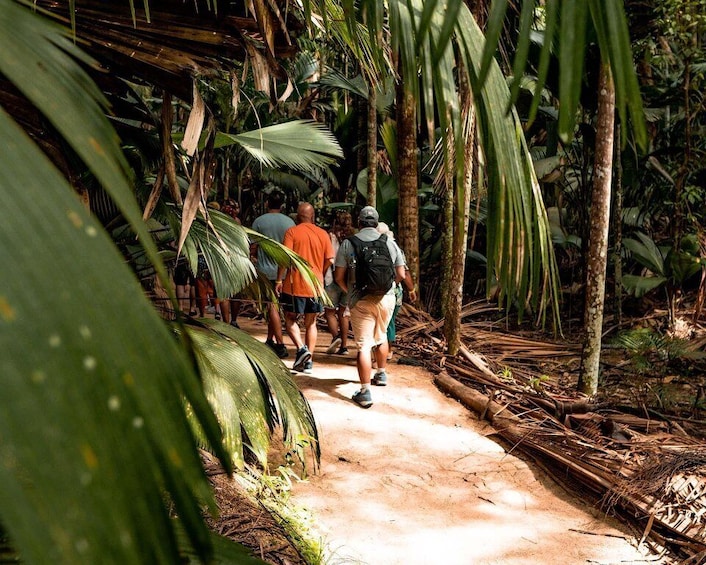 Picture 4 for Activity Praslin: Vallee de Mai Guided Hike with Transfer