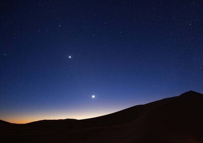 Safari nocturne à Doha : Aventure dans les dunes et balade à dos de chameau