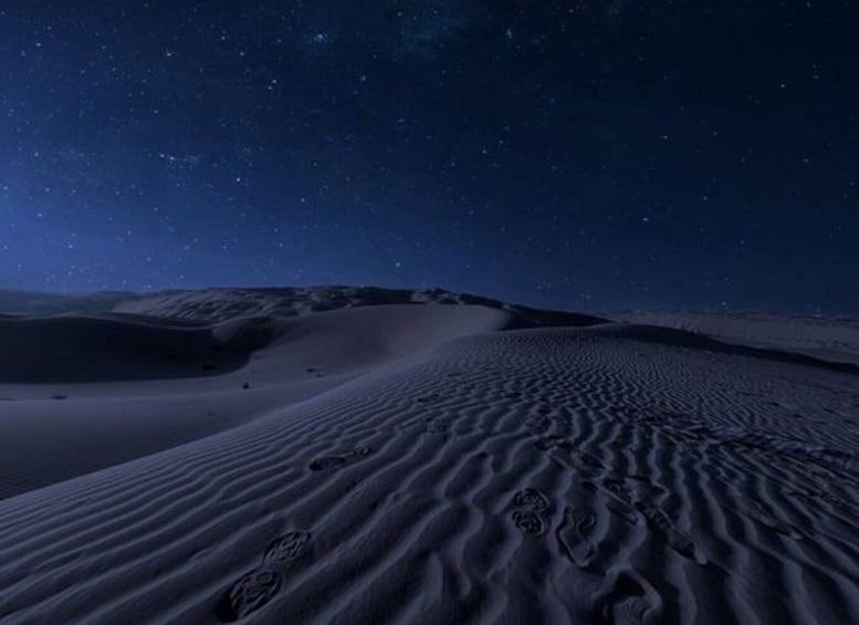 Picture 6 for Activity Doha Night Safari: Dune Bashing & Camel Ride Adventure