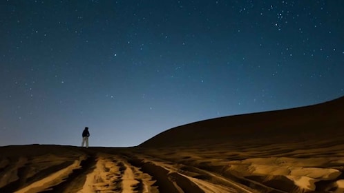 Från Doha: Nattlig ökensafari, dune bashing och kamelridning