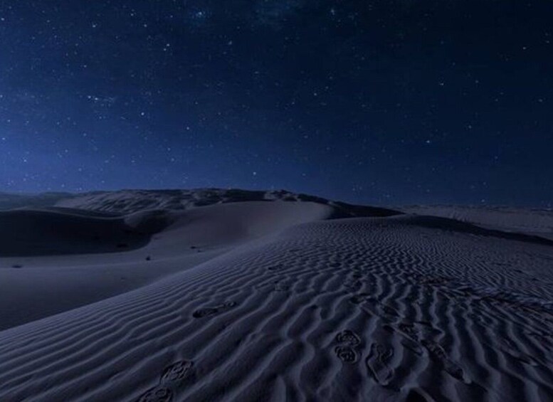 Picture 3 for Activity From Doha: Night Desert Safari, Dune Bashing & Camel Ride