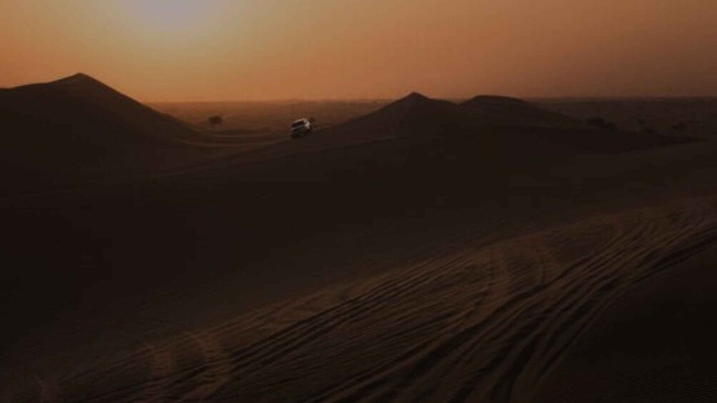 Picture 4 for Activity From Doha: Night Desert Safari, Dune Bashing & Camel Ride