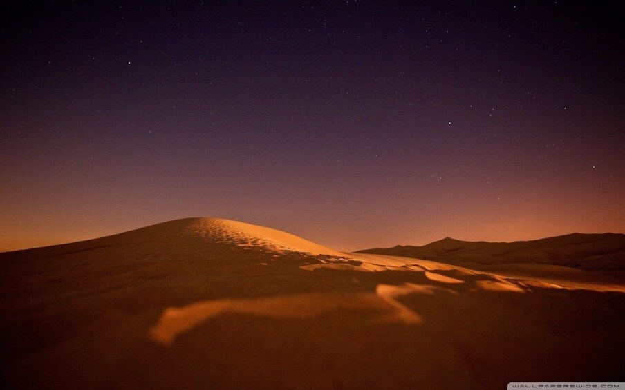 Picture 7 for Activity From Doha: Night Desert Safari, Dune Bashing & Camel Ride