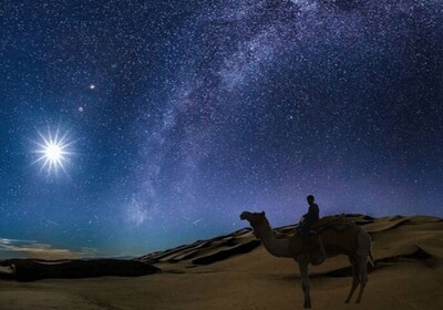 多哈：夜游沙漠野生动物观光，观星和骑骆驼