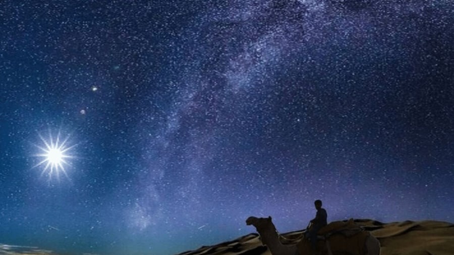 Doha: Night Desert Safari with Stargazing & Camel Ride