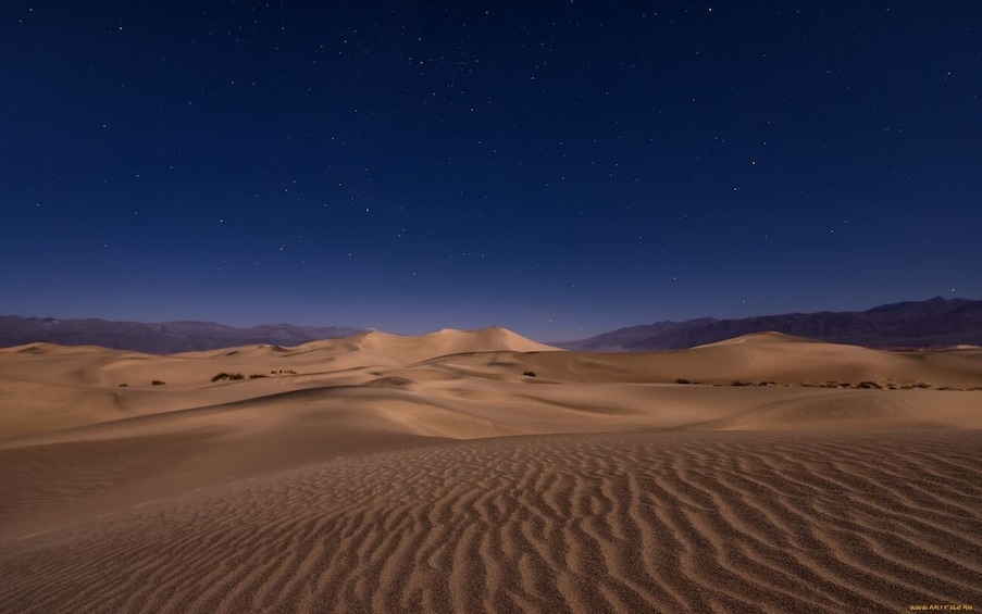 Picture 10 for Activity From Doha: Night Desert Safari, Dune Bashing & Camel Ride