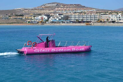 Caleta de Fuste: Tour mit dem Glasbodenboot