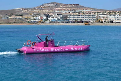 Caleta de Fuste: Tour mit dem Glasbodenboot