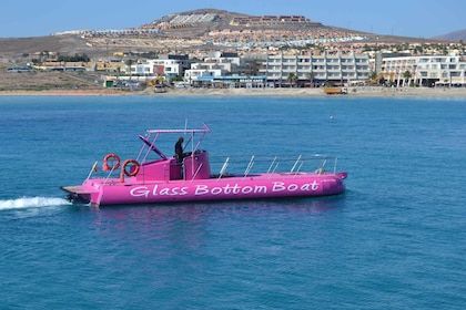 Caleta de Fuste : Excursion en bateau à fond de verre