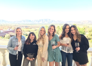 Des de San Diego: tour privat de tast de vins a la Valle de Guadalupe