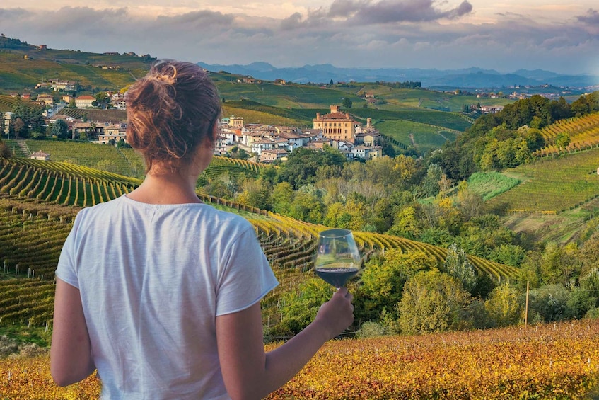 Picture 1 for Activity Turin: Langhe Wine Tour with Private Transfers and Lunch