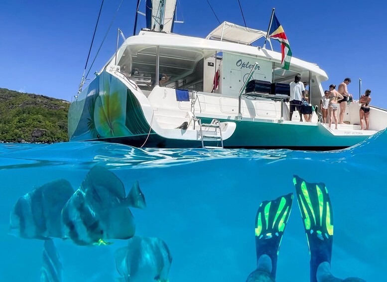 Picture 7 for Activity Mahé: Baie Ternay Park Catamaran Cruise with BBQ Lunch