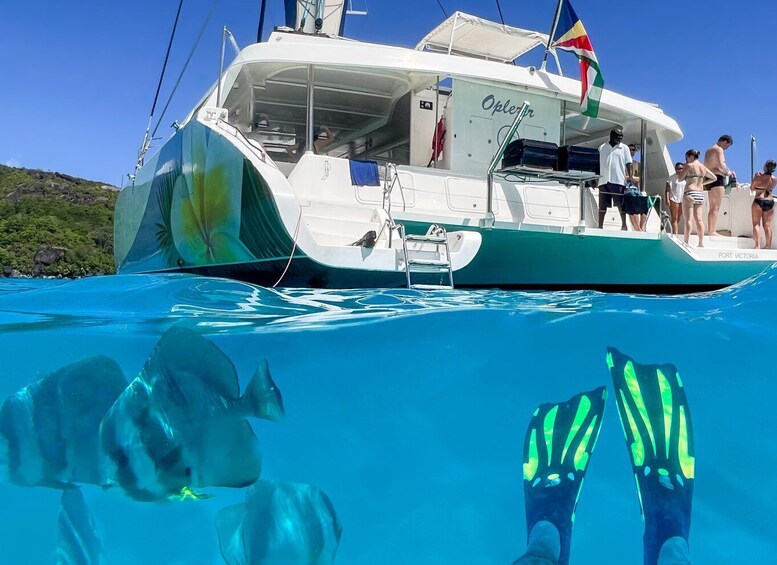 Picture 7 for Activity Mahé: Baie Ternay Park Catamaran Cruise with BBQ Lunch