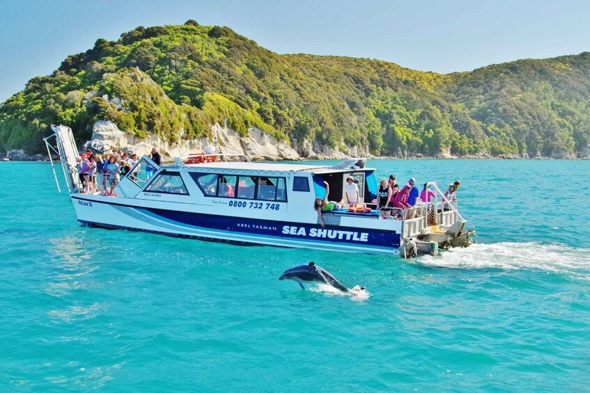 Picture 4 for Activity Abel Tasman: Scenic Cruise to Anchorage Bay from Kaiteriteri