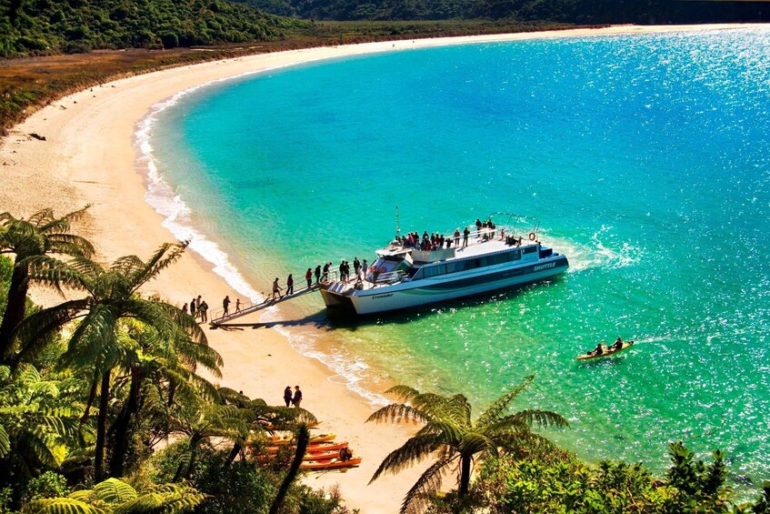 Abel Tasman: Scenic Cruise to Anchorage Bay from Kaiteriteri