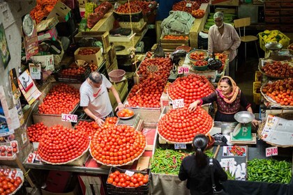 Port Louis och norra Mauritius heldagsguidning