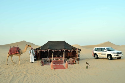 From Abu Dhabi: 4-Hour Morning Desert Excursion