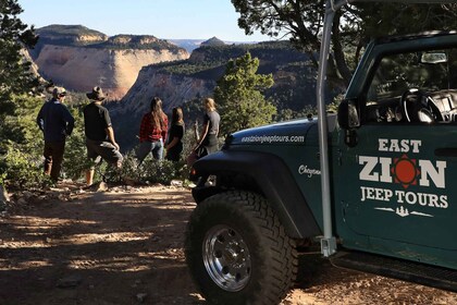 East Zion: 1-stündige Jeep-Tour am East Rim