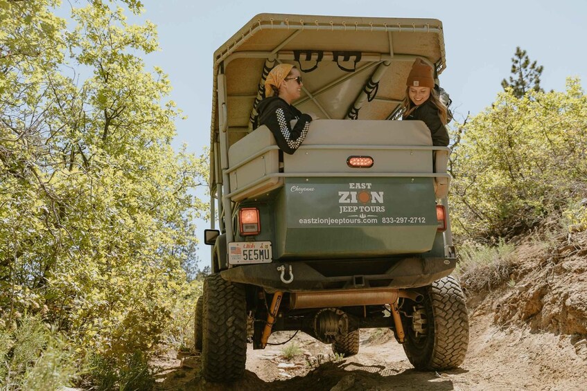 Picture 3 for Activity East Zion: 1-Hour East Rim Jeep Tour