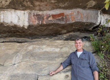 Durban: Drakensberg Rock Art & Mandela Capture Site Tour