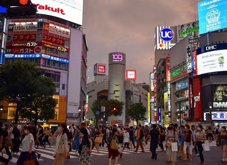 Picture 7 for Activity Tokyo: Shibuya Highlights Walking Tour