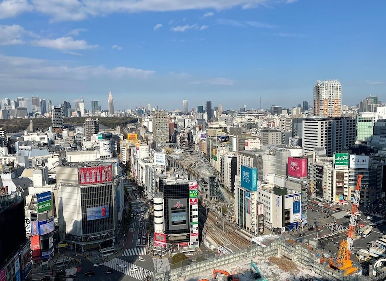 Picture 2 for Activity Tokyo: Shibuya Highlights Walking Tour